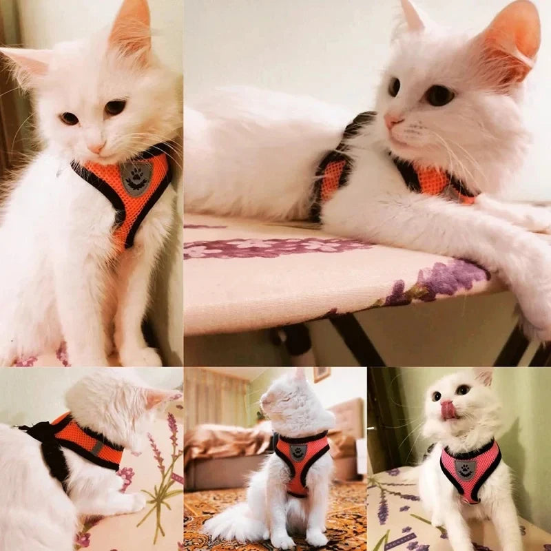Adjustable Mesh Vest Pet Harness with Leash