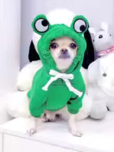 Cute Frog Pet Dog Hoodie Sweater