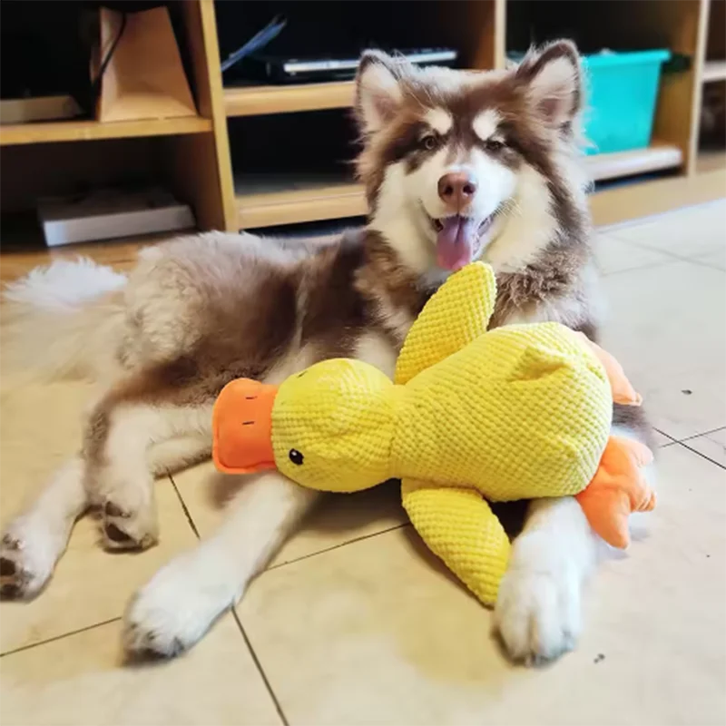 Cute Yellow Duck Interactive Plush Dog Squeak Toy