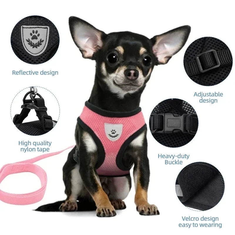 Adjustable Mesh Vest Pet Harness with Leash