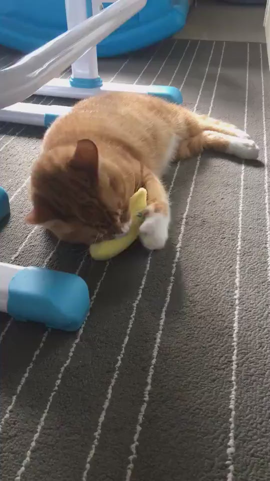 Interactive Catnip Plush Vocal Cat Chew Toy